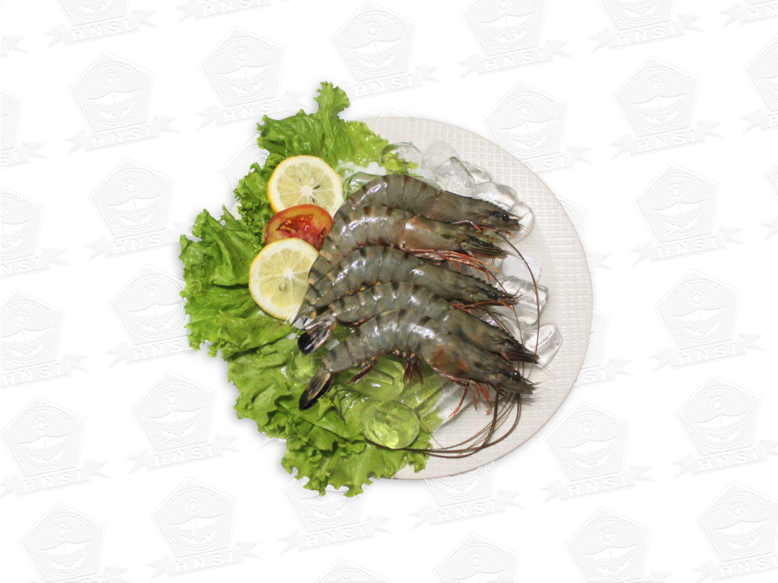 Udang Tiger Tambak
